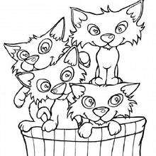 Coloriage : Un panier de chats