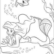 Coloriage Disney : Ariel sous l'océan