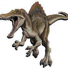 Reportage : Le Spinosaurus