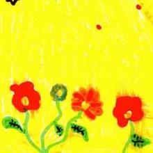 Fleurs d'été - Dessin - Dessin NATURE - Dessin FLEUR - Dessin FLEUR A COLORIER