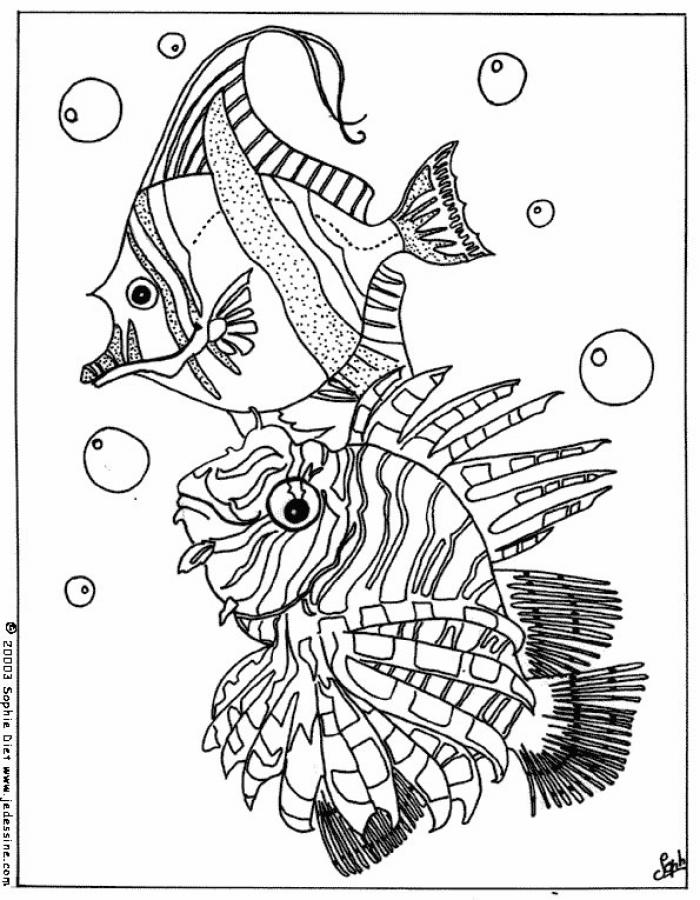 Coloriages coloriage de poissons fr hellokids coloriage de poissons