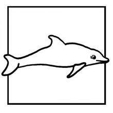 Coloriage d'un tableau de dauphin