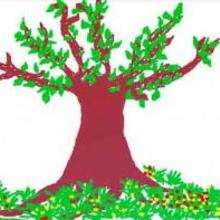Un arbre - Dessin - Dessin NATURE - Dessin ARBRE