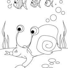 Coloriage d'un escargot de mer