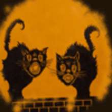 Les chats sorciers - Lecture - CONTES pour enfant - CONTES D'HORREUR