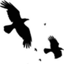 La cité des corbeaux - Lecture - CONTES pour enfant - CONTES ANIMAUX
