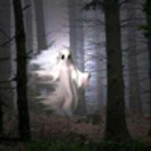Le fantôme des arbres - Lecture - CONTES pour enfant - CONTES D'HORREUR