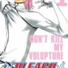 Manga : Bleach - Tome 31