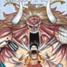 Manga : One Piece - Tome 48