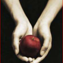 Livre : Twilight - Tome 1 - Fascination