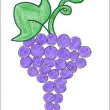 Tuto de dessin : Une grappe de raisin