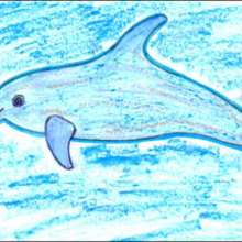 Dessiner un dauphin - Dessin - Apprendre à dessiner - Dessiner des poissons