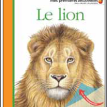 Livre : Mes premières découvertes: le lion