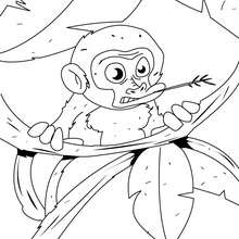 Coloriage d'un bébé singe dans les branches