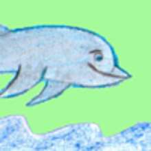 Dessiner un dauphin - Dessin - Apprendre à dessiner - Dessiner des animaux