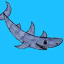 Dessiner un requin - Dessin - Apprendre à dessiner - Dessiner des animaux