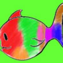 Exposition de poissons multicolores