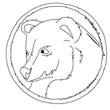 Coloriage du portrait d'un ours