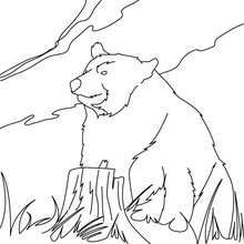 Coloriage d'un vieil ours