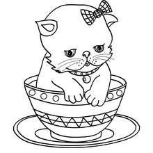 Coloriage : Bébé chat dans une tasse