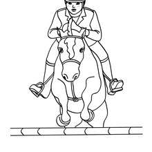 Coloriage d'un STEEPLE CHASE - Coloriage - Coloriage SPORT - Coloriage EQUITATION - Coloriage JUMPING