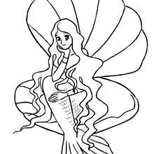 Coloriage d'une SIRENE dans son coquillage - Coloriage - Coloriage GRATUIT - Coloriage PERSONNAGE IMAGINAIRE - Coloriage SIRENE