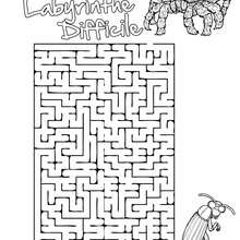 Labyrinthe Difficile Insects&co - Jeux - Jeux de Labyrinthes - Les labyrinthes Insects&Co
