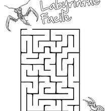 Labyrinthe Facile Insects&Co - Jeux - Jeux de Labyrinthes - Les labyrinthes Insects&Co