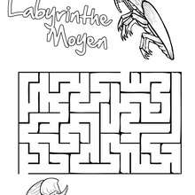 Labyrinthe Moyen Insects&Co - Jeux - Jeux de Labyrinthes - Les labyrinthes Insects&Co