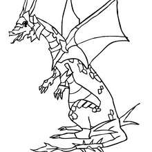 Coloriage : Dragon dans son armure
