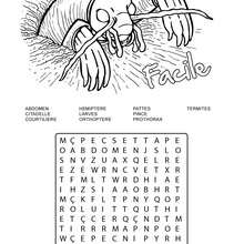 Facile : 10 insectes cachés - Jeux - Les mots mêlés - Les mots mêlés de Insects&co