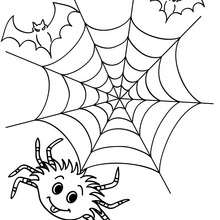 Coloriage d'Halloween : toile araignée a colorier