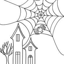 Coloriage d'Halloween : araignée devant château halloween