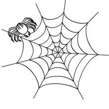 Coloriage d'Halloween : toile d'araignée halloween