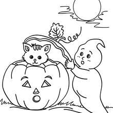 Coloriage d'Halloween : coloriage fantôme et chaton