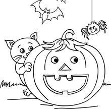 Coloriage d'Halloween : chat rigolo à imprimer