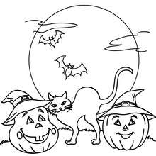 Coloriage d'Halloween : chat nuit halloween gratuit