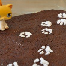 Recette : Gâteau au chocolat des chatons