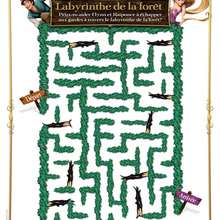 Labyrinthe de Raiponce et Flynn