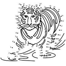 Jeu de points à relier : Tigre du bengale