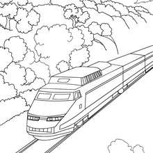 Train thalys à colorier - Coloriage - Coloriage VEHICULES - Coloriage TRAIN - Coloriages TRAINS
