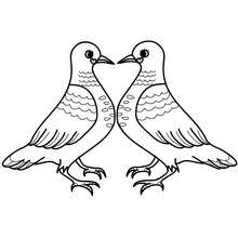 Coloriage couple pigeons gratuit - Coloriage - Coloriage FETES - Coloriage SAINT VALENTIN - Coloriage COUPLE DE LA SAINT VALENTIN