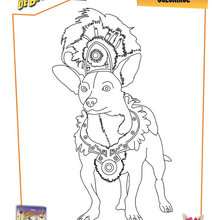 Coloriage : Le Chihuahua de Beverly Hills