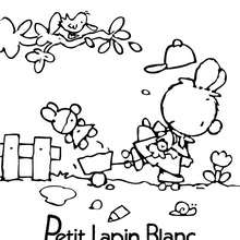 Coloriage : PETIT LAPIN BLANC à imprimer gratuitement