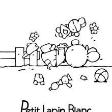 PETIT LAPIN BLANC à dessiner - Coloriage - Coloriage PETIT LAPIN BLANC