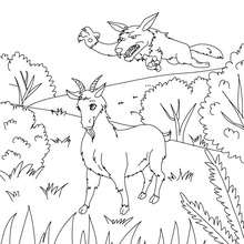 Coloriage Blanchette la chèvre de M. Seguin - Coloriage - Coloriage de CONTES CELEBRES - Contes de DAUDET à colorier