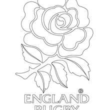 Coloriage : Blason de l'Angleterre au rugby