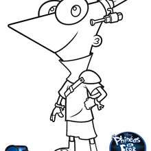 Coloriage Disney : Phineas et Ferb - PHINEAS