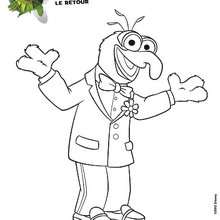 Coloriage Disney : Muppets - GONZO