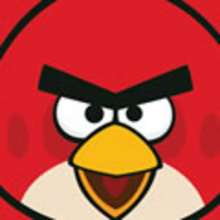 Angry Birds la trilogie sur Xbox360, PS3 et 3DS